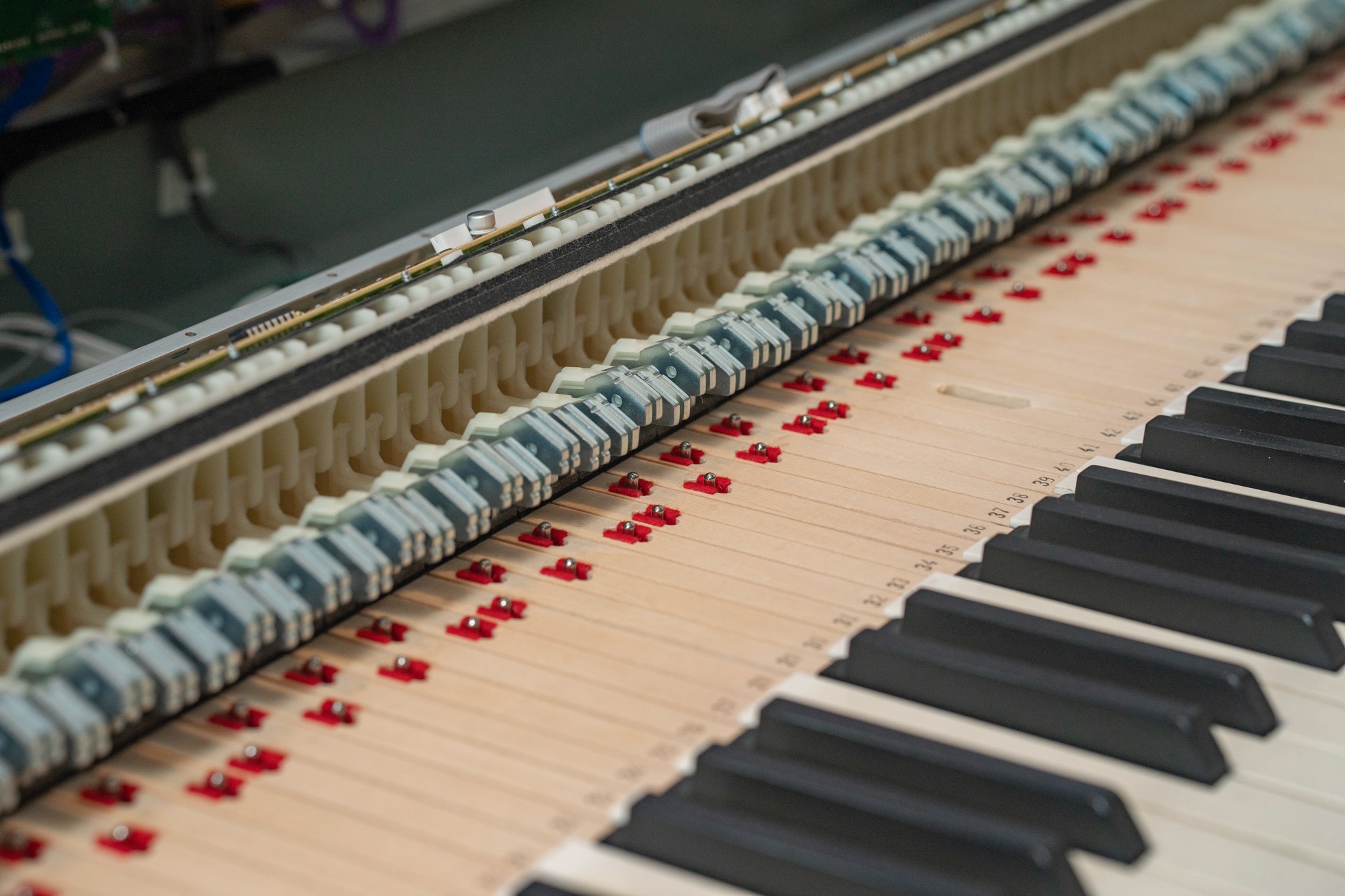 2024_reprep_martinbichsel_25